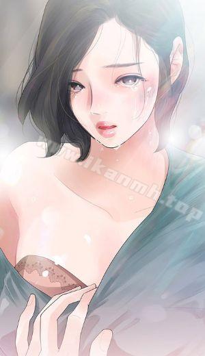 钢之炼金术师 封面